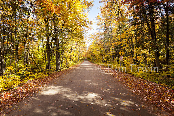 Source Lake Road
