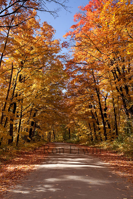 Source Lake Road