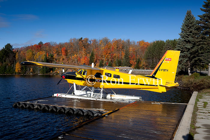 Algonquin Plane