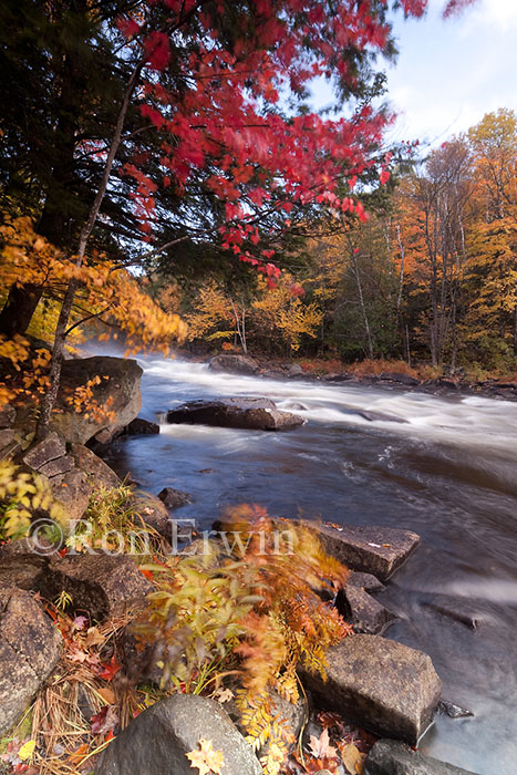 Oxtongue Rapids Park