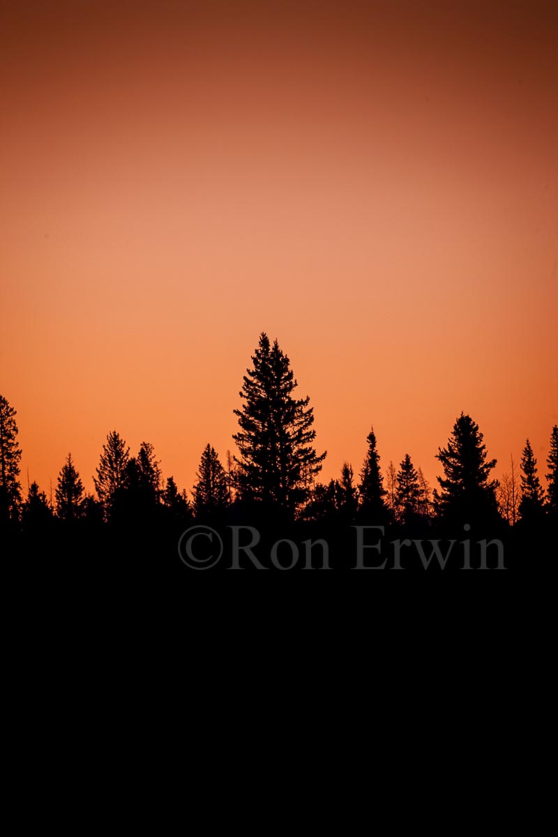 Riding Mountain MB Sunset