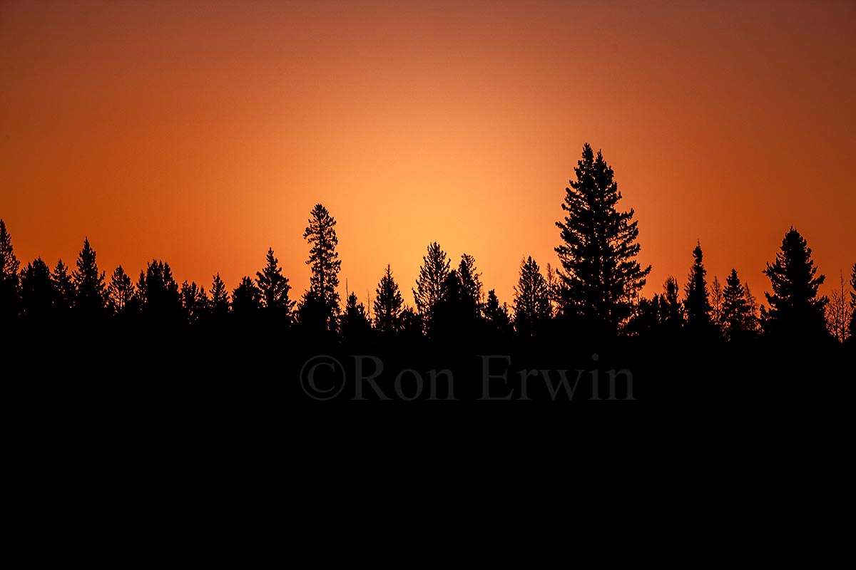 Riding Mountain MB Sunset