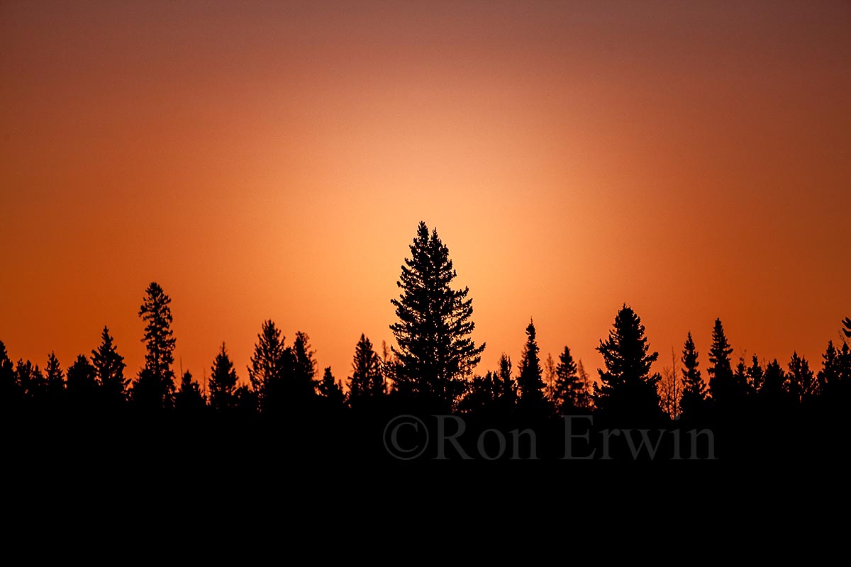 Riding Mountain MB Sunset