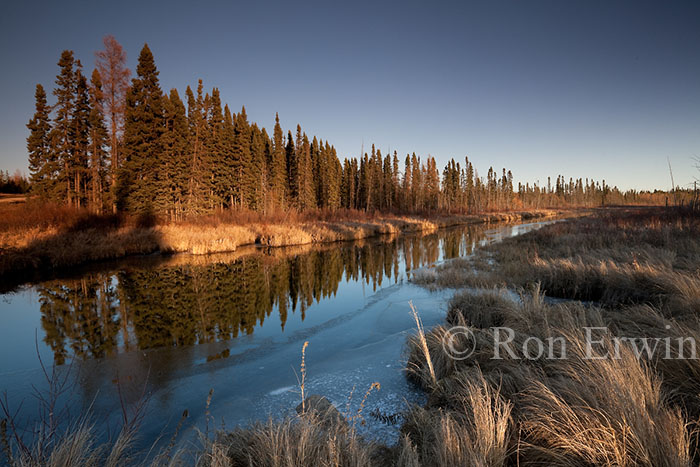 Manitoba Wetlands