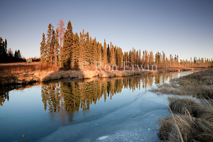  Manitoba Wetlands