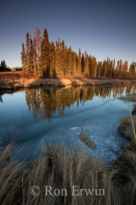Manitoba Wetlands