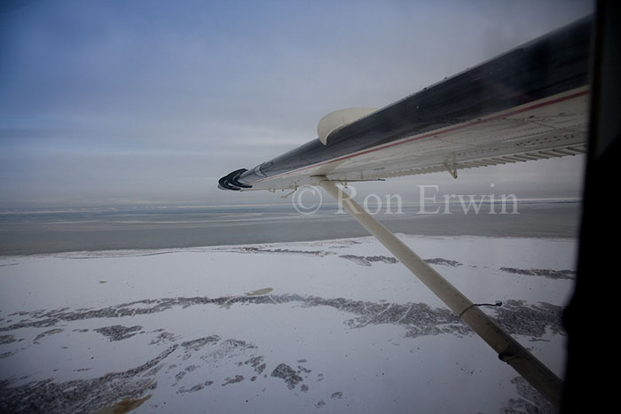 Out the Plane Window