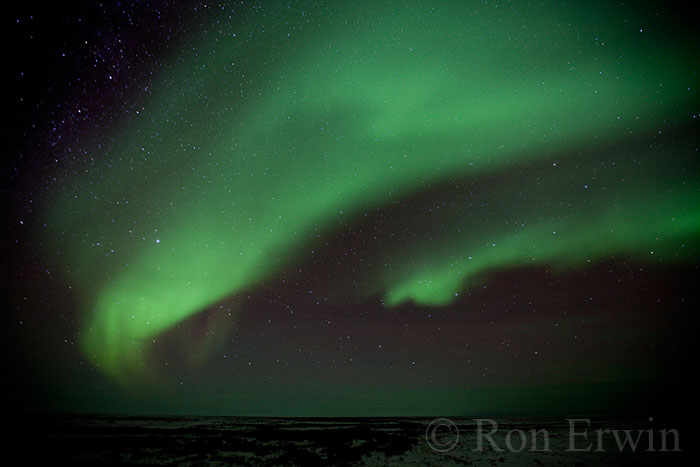 Northern Lights