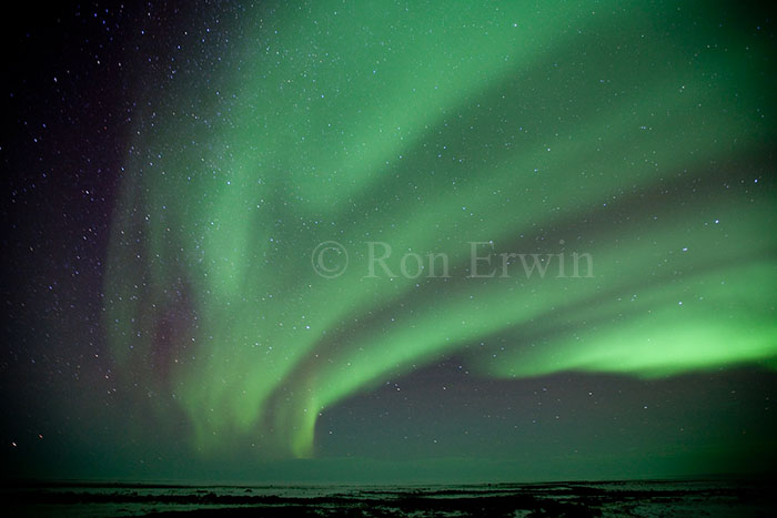 Northern Lights in Manitoba
