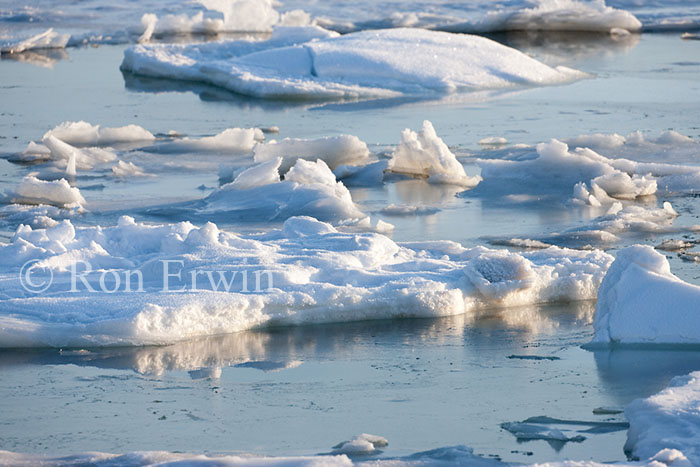 Ice on Hudson Bay