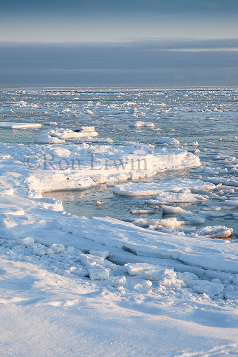 Coast of Hudson Bay, MB
