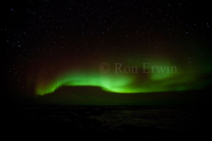 Northern Lights