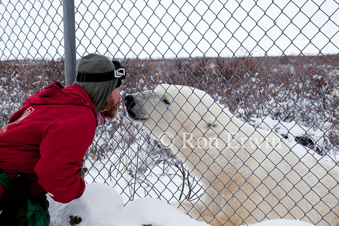 Man and Polar Bear