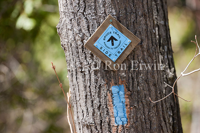 Bruce Trail Blue Blaze