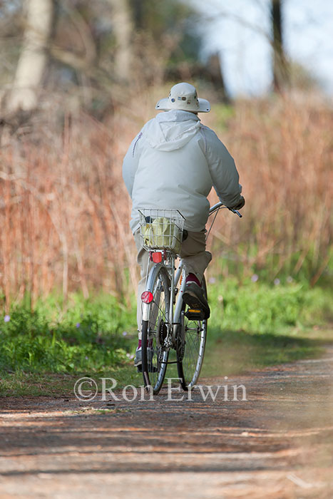 Biking in Rondeau