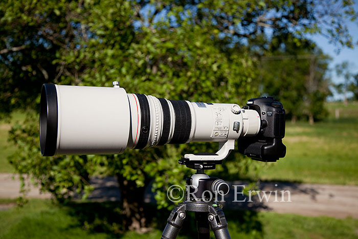 Canon 7D Camera and 500mm Lens