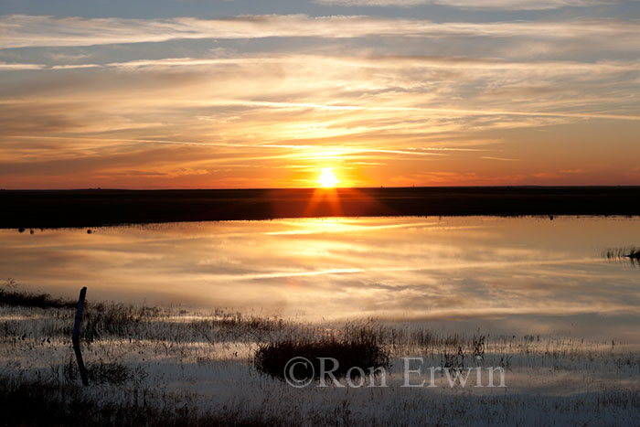 Sunrise and Flooded Fields