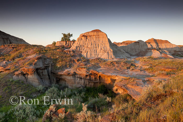 Alberta Badlands