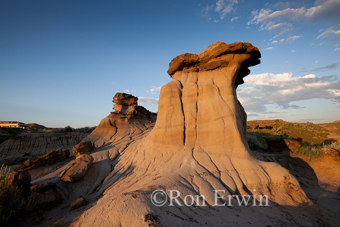 Dinosaur Provincial Park, AB