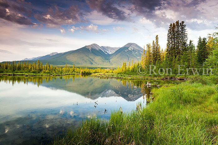 Vermilion Lakes, Banff, AB