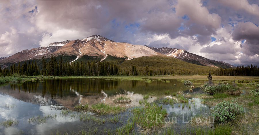 Banff National Park