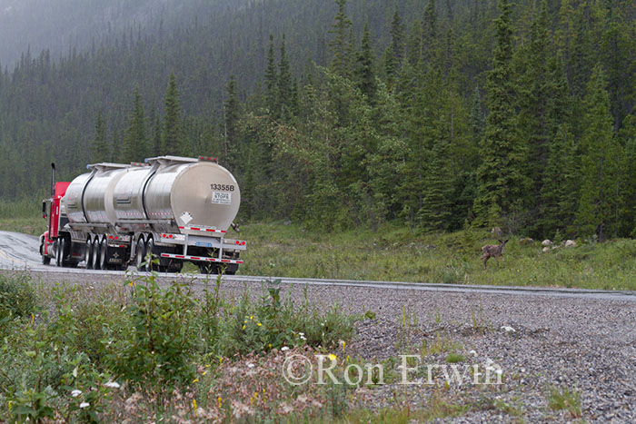 Alaska Highway