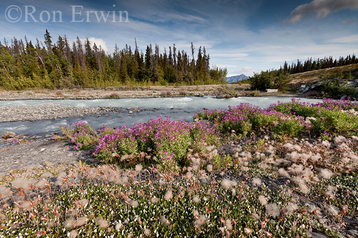 Quill Creek, Yukon