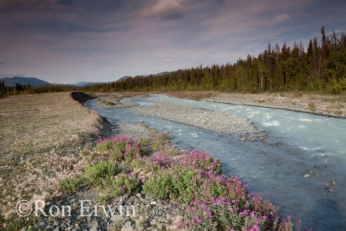 Quill Creek, Yukon