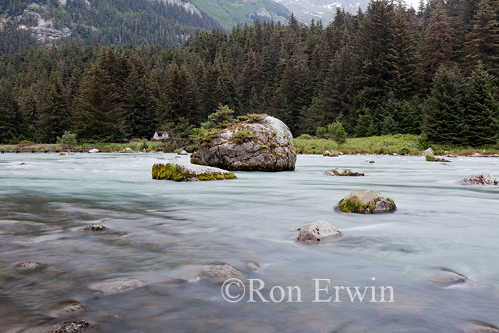 Chilkoot River