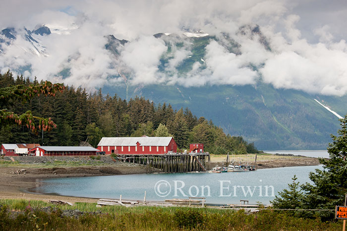 Haines Packing Co.