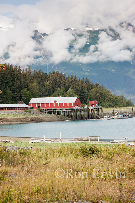 Haines Packing Co.