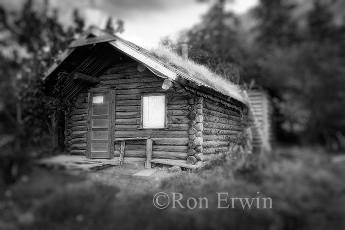 Yukon Cabin