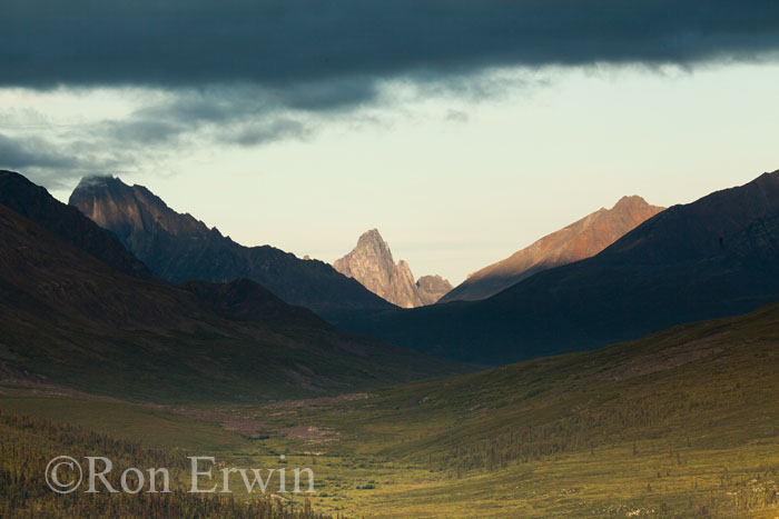 Tombstone Mountain