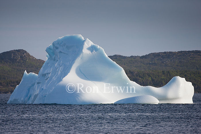 Iceberg