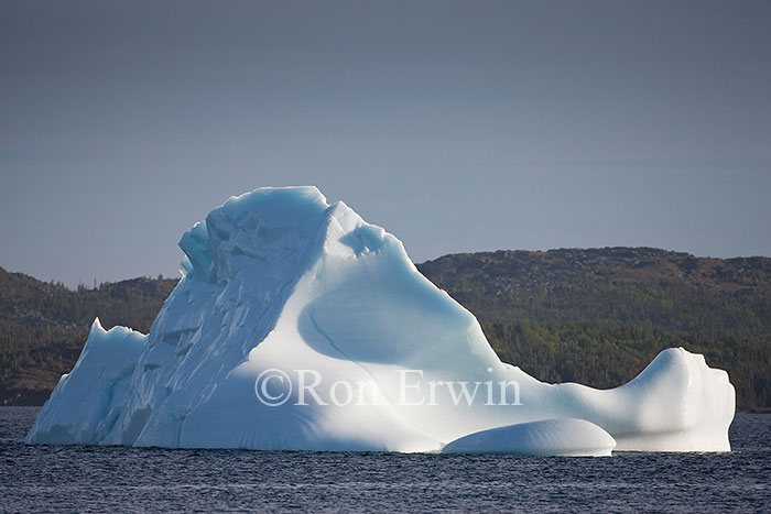 Iceberg