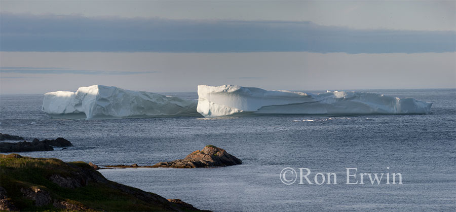 Iceberg Alley
