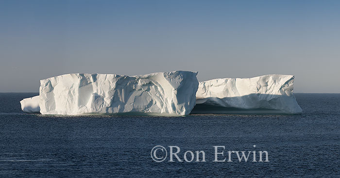 Iceberg, NL