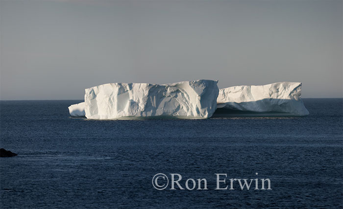 Iceberg Alley