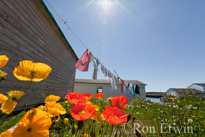 Clothesline