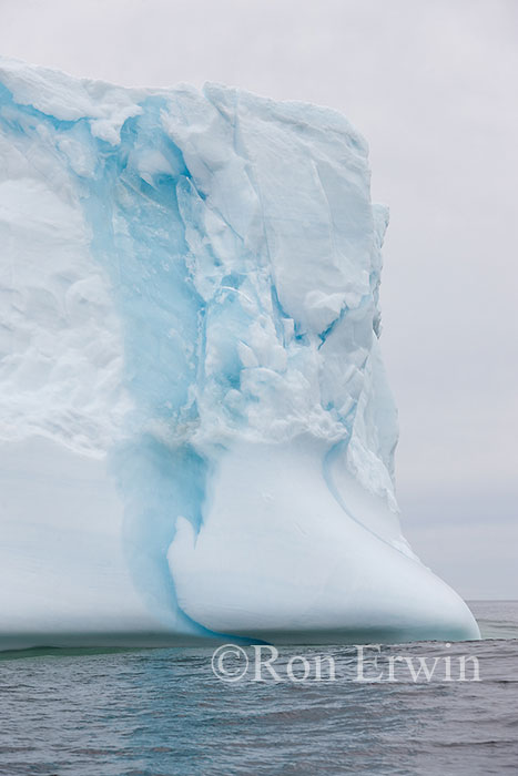 Iceberg Alley
