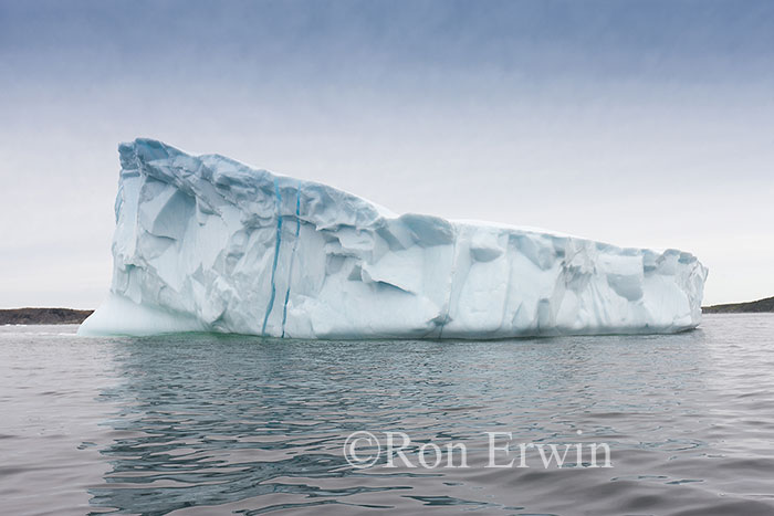 Iceberg Alley
