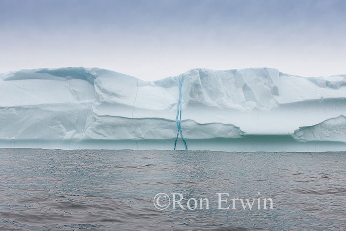 Iceberg Alley