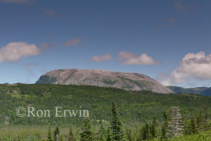 Gros Morne