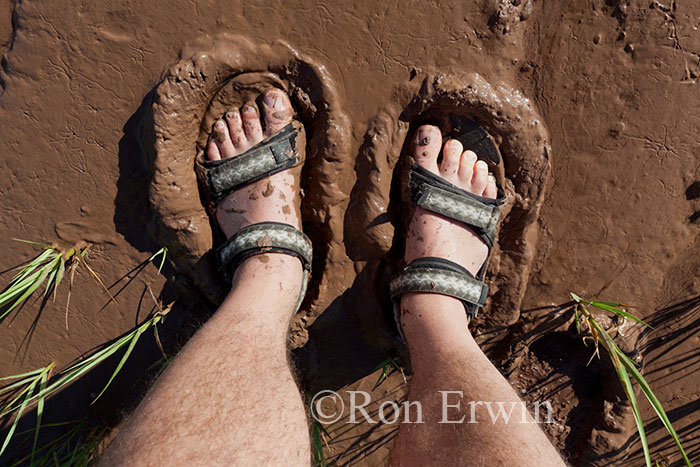 Standing in Fundy Mud