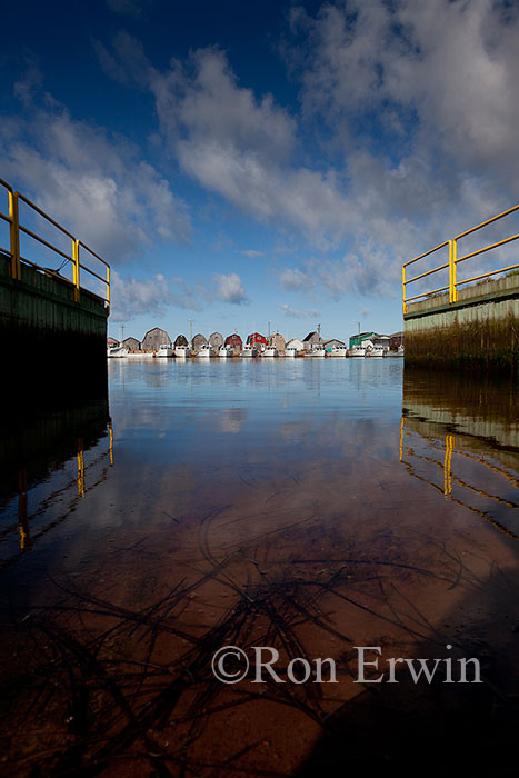 Malpeque Harbour