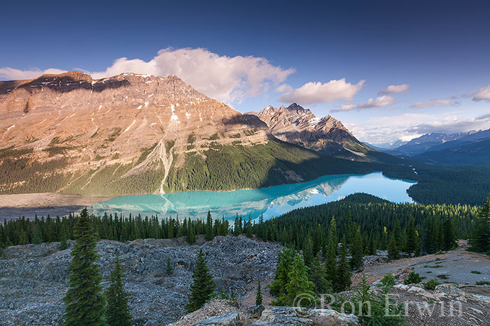 Peyto Lake, Banff