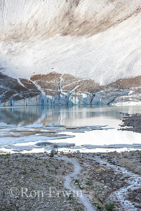 Cavell Glacier, Jasper