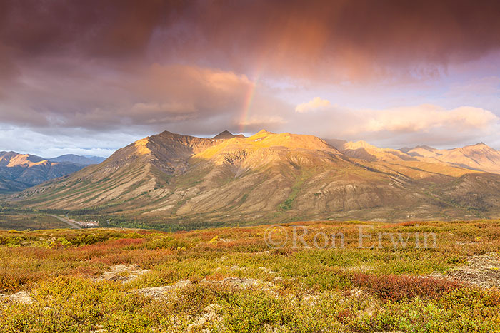 Tombstone Territorial Park, YT