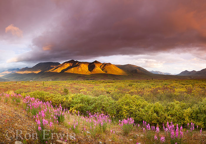 Cloudy Range, Tombstone, YT