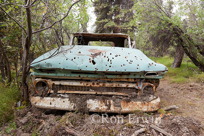 Abandoned Truck